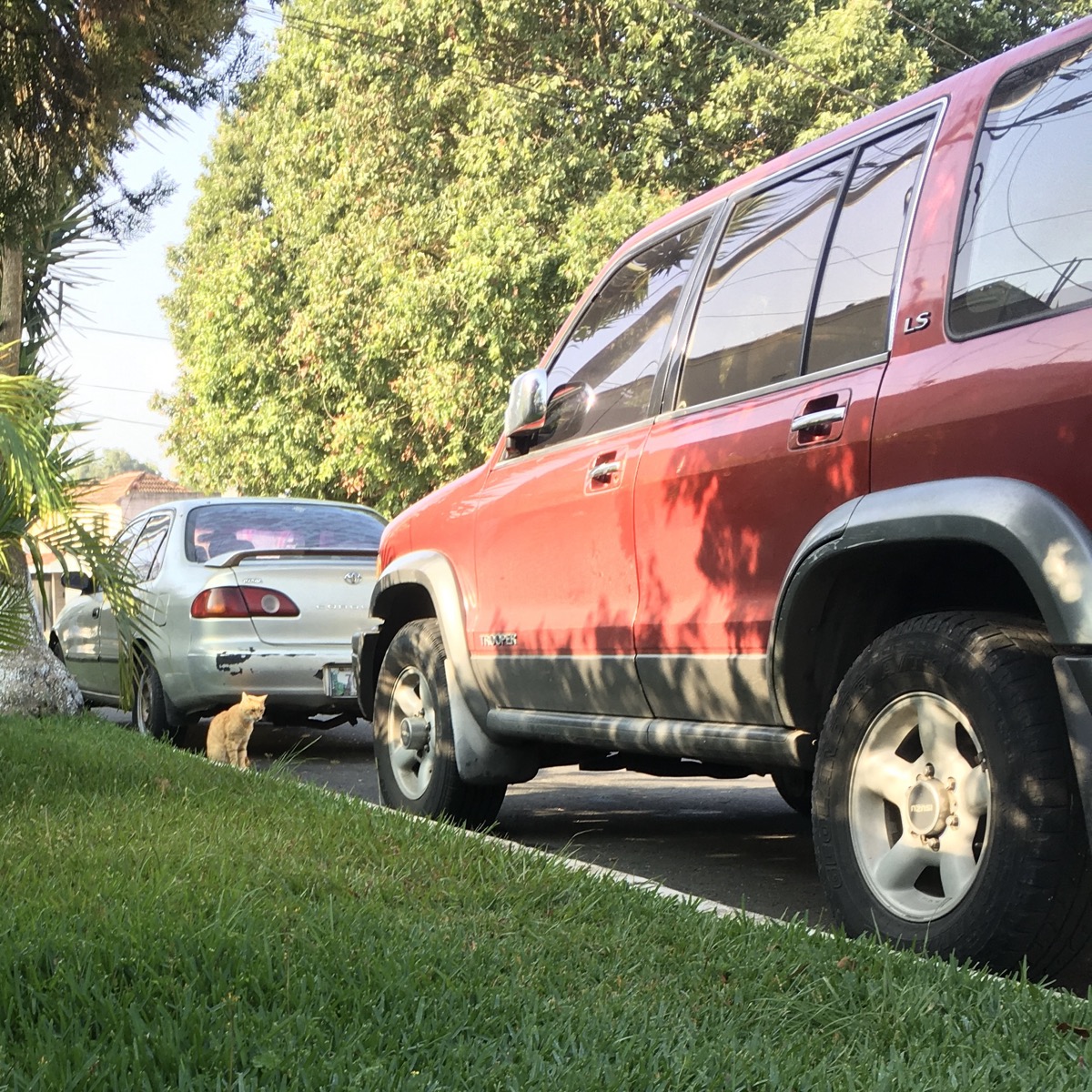 1997 Isuzu Trooper