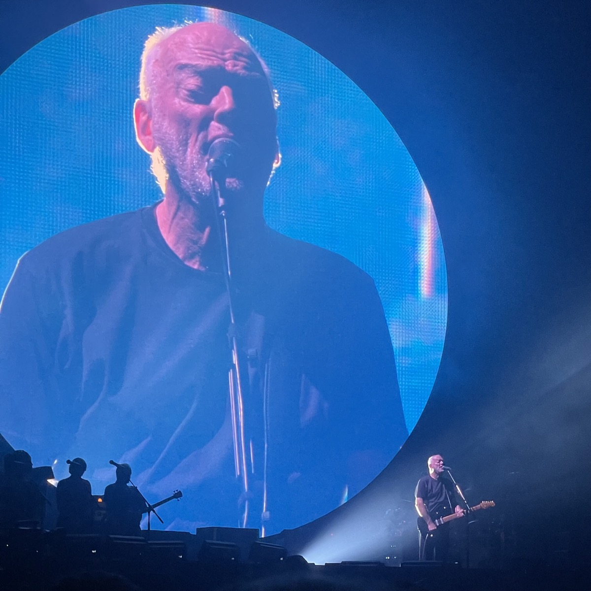 David Gilmour
