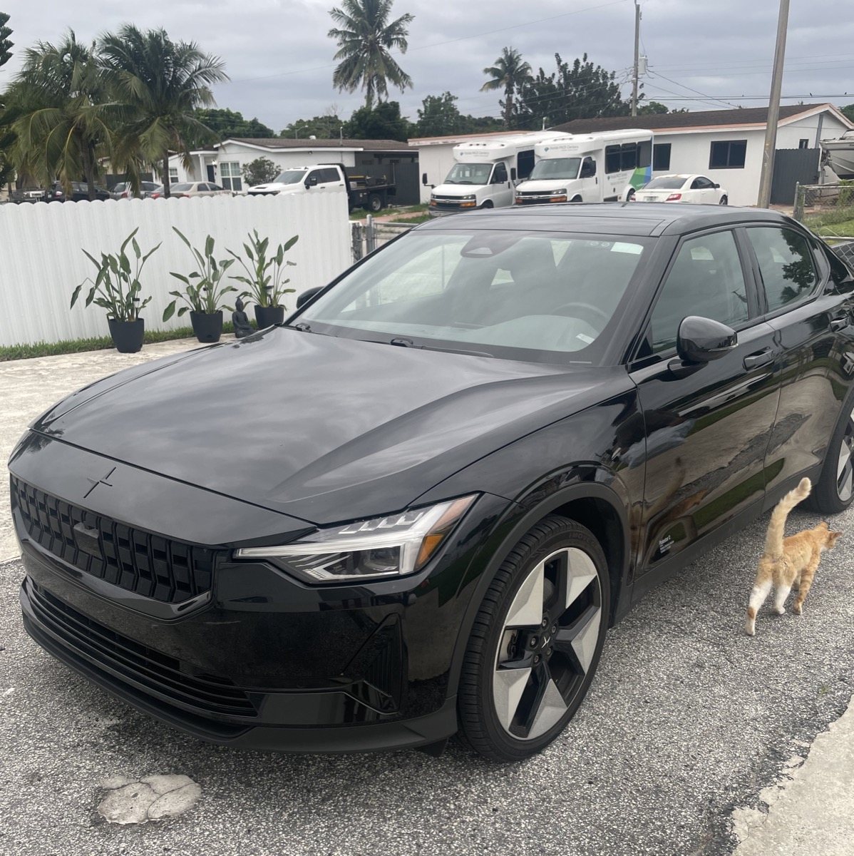 Polestar 2 in Miami